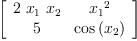 
\label{eq4}\left[ 
\begin{array}{cc}
{2 \ {x_{1}}\ {x_{2}}}&{{x_{1}}^{2}}
\
5 &{\cos \left({x_{2}}\right)}
