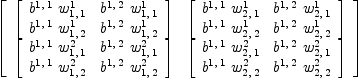 
\label{eq51}\left[ 
\begin{array}{cc}
{\left[ 
\begin{array}{cc}
{{b^{1, \: 1}}\ {w_{1, \: 1}^{1}}}&{{b^{1, \: 2}}\ {w_{1, \: 1}^{1}}}
\
{{b^{1, \: 1}}\ {w_{1, \: 2}^{1}}}&{{b^{1, \: 2}}\ {w_{1, \: 2}^{1}}}
