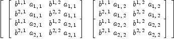 
\label{eq38}\left[ 
\begin{array}{cc}
{\left[ 
\begin{array}{cc}
{{b^{1, \: 1}}\ {a_{1, \: 1}}}&{{b^{1, \: 2}}\ {a_{1, \: 1}}}
\
{{b^{2, \: 1}}\ {a_{1, \: 1}}}&{{b^{2, \: 2}}\ {a_{1, \: 1}}}
