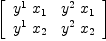 
\label{eq10}\left[ 
\begin{array}{cc}
{{y^{1}}\ {x_{1}}}&{{y^{2}}\ {x_{1}}}
\
{{y^{1}}\ {x_{2}}}&{{y^{2}}\ {x_{2}}}
