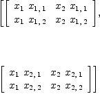 
\label{eq16}\begin{array}{@{}l}
\displaystyle
\left[{\left[ 
\begin{array}{cc}
{{x_{1}}\ {x_{1, \: 1}}}&{{x_{2}}\ {x_{1, \: 1}}}
\
{{x_{1}}\ {x_{1, \: 2}}}&{{x_{2}}\ {x_{1, \: 2}}}
