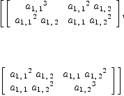 
\label{eq20}\begin{array}{@{}l}
\displaystyle
\left[{\left[ 
\begin{array}{cc}
{{a_{1, \: 1}}^3}&{{{a_{1, \: 1}}^2}\ {a_{1, \: 2}}}
\
{{{a_{1, \: 1}}^2}\ {a_{1, \: 2}}}&{{a_{1, \: 1}}\ {{a_{1, \: 2}}^2}}
