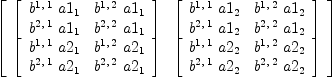 
\label{eq64}\left[ 
\begin{array}{cc}
{\left[ 
\begin{array}{cc}
{{b^{1, \: 1}}\ {a 1_{1}}}&{{b^{1, \: 2}}\ {a 1_{1}}}
\
{{b^{2, \: 1}}\ {a 1_{1}}}&{{b^{2, \: 2}}\ {a 1_{1}}}

