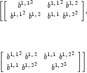 
\label{eq20}\begin{array}{@{}l}
\displaystyle
\left[{\left[ 
\begin{array}{cc}
{{b^{1, \: 1}}^3}&{{{b^{1, \: 1}}^2}\ {b^{1, \: 2}}}
\
{{{b^{1, \: 1}}^2}\ {b^{1, \: 2}}}&{{b^{1, \: 1}}\ {{b^{1, \: 2}}^2}}
