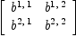 
\label{eq7}\left[ 
\begin{array}{cc}
{b^{1, \: 1}}&{b^{1, \: 2}}
\
{b^{2, \: 1}}&{b^{2, \: 2}}
