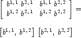 
\label{eq14}\begin{array}{@{}l}
\displaystyle
{\left[ 
\begin{array}{cc}
{{b^{1, \: 1}}\ {b^{2, \: 1}}}&{{b^{1, \: 1}}\ {b^{2, \: 2}}}
\
{{b^{1, \: 2}}\ {b^{2, \: 1}}}&{{b^{1, \: 2}}\ {b^{2, \: 2}}}
