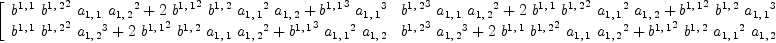 
\label{eq18}\left[ 
\begin{array}{cc}
{{{b^{1, \: 1}}\ {{b^{1, \: 2}}^2}\ {a_{1, \: 1}}\ {{a_{1, \: 2}}^2}}+{2 \ {{b^{1, \: 1}}^2}\ {b^{1, \: 2}}\ {{a_{1, \: 1}}^2}\ {a_{1, \: 2}}}+{{{b^{1, \: 1}}^3}\ {{a_{1, \: 1}}^3}}}&{{{{b^{1, \: 2}}^3}\ {a_{1, \: 1}}\ {{a_{1, \: 2}}^2}}+{2 \ {b^{1, \: 1}}\ {{b^{1, \: 2}}^2}\ {{a_{1, \: 1}}^2}\ {a_{1, \: 2}}}+{{{b^{1, \: 1}}^2}\ {b^{1, \: 2}}\ {{a_{1, \: 1}}^3}}}
\
{{{b^{1, \: 1}}\ {{b^{1, \: 2}}^2}\ {{a_{1, \: 2}}^3}}+{2 \ {{b^{1, \: 1}}^2}\ {b^{1, \: 2}}\ {a_{1, \: 1}}\ {{a_{1, \: 2}}^2}}+{{{b^{1, \: 1}}^3}\ {{a_{1, \: 1}}^2}\ {a_{1, \: 2}}}}&{{{{b^{1, \: 2}}^3}\ {{a_{1, \: 2}}^3}}+{2 \ {b^{1, \: 1}}\ {{b^{1, \: 2}}^2}\ {a_{1, \: 1}}\ {{a_{1, \: 2}}^2}}+{{{b^{1, \: 1}}^2}\ {b^{1, \: 2}}\ {{a_{1, \: 1}}^2}\ {a_{1, \: 2}}}}
