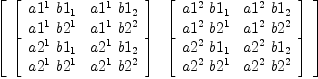 
\label{eq68}\left[ 
\begin{array}{cc}
{\left[ 
\begin{array}{cc}
{{a 1^{1}}\ {b 1_{1}}}&{{a 1^{1}}\ {b 1_{2}}}
\
{{a 1^{1}}\ {b 2^{1}}}&{{a 1^{1}}\ {b 2^{2}}}
