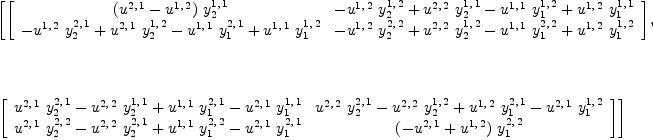 
\label{eq20}\begin{array}{@{}l}
\displaystyle
\left[{\left[ 
\begin{array}{cc}
{{\left({u^{2, \: 1}}-{u^{1, \: 2}}\right)}\ {y_{2}^{1, \: 1}}}&{-{{u^{1, \: 2}}\ {y_{2}^{1, \: 2}}}+{{u^{2, \: 2}}\ {y_{2}^{1, \: 1}}}-{{u^{1, \: 1}}\ {y_{1}^{1, \: 2}}}+{{u^{1, \: 2}}\ {y_{1}^{1, \: 1}}}}
\
{-{{u^{1, \: 2}}\ {y_{2}^{2, \: 1}}}+{{u^{2, \: 1}}\ {y_{2}^{1, \: 2}}}-{{u^{1, \: 1}}\ {y_{1}^{2, \: 1}}}+{{u^{1, \: 1}}\ {y_{1}^{1, \: 2}}}}&{-{{u^{1, \: 2}}\ {y_{2}^{2, \: 2}}}+{{u^{2, \: 2}}\ {y_{2}^{1, \: 2}}}-{{u^{1, \: 1}}\ {y_{1}^{2, \: 2}}}+{{u^{1, \: 2}}\ {y_{1}^{1, \: 2}}}}
