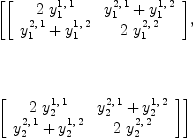 
\label{eq10}\begin{array}{@{}l}
\displaystyle
\left[{\left[ 
\begin{array}{cc}
{2 \ {y_{1}^{1, \: 1}}}&{{y_{1}^{2, \: 1}}+{y_{1}^{1, \: 2}}}
\
{{y_{1}^{2, \: 1}}+{y_{1}^{1, \: 2}}}&{2 \ {y_{1}^{2, \: 2}}}
