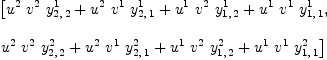 
\label{eq20}\begin{array}{@{}l}
\displaystyle
\left[{{{u^{2}}\ {v^{2}}\ {y_{2, \: 2}^{1}}}+{{u^{2}}\ {v^{1}}\ {y_{2, \: 1}^{1}}}+{{u^{1}}\ {v^{2}}\ {y_{1, \: 2}^{1}}}+{{u^{1}}\ {v^{1}}\ {y_{1, \: 1}^{1}}}}, \: \right.
\
\
\displaystyle
\left.{{{u^{2}}\ {v^{2}}\ {y_{2, \: 2}^{2}}}+{{u^{2}}\ {v^{1}}\ {y_{2, \: 1}^{2}}}+{{u^{1}}\ {v^{2}}\ {y_{1, \: 2}^{2}}}+{{u^{1}}\ {v^{1}}\ {y_{1, \: 1}^{2}}}}\right] 
