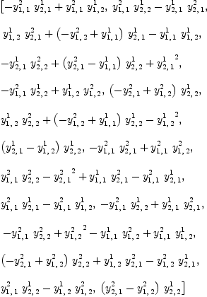 
\label{eq9}\begin{array}{@{}l}
\displaystyle
\left[{-{{y_{1, \: 1}^{2}}\ {y_{2, \: 1}^{1}}}+{{y_{1, \: 1}^{2}}\ {y_{1, \: 2}^{1}}}}, \:{{{y_{1, \: 1}^{2}}\ {y_{2, \: 2}^{1}}}-{{y_{2, \: 1}^{1}}\ {y_{2, \: 1}^{2}}}}, \right.
\
\
\displaystyle
\left.\:{{{y_{1, \: 2}^{1}}\ {y_{2, \: 1}^{2}}}+{{\left(-{y_{1, \: 2}^{2}}+{y_{1, \: 1}^{1}}\right)}\ {y_{2, \: 1}^{1}}}-{{y_{1, \: 1}^{1}}\ {y_{1, \: 2}^{1}}}}, \: \right.
\
\
\displaystyle
\left.{-{{y_{2, \: 1}^{1}}\ {y_{2, \: 2}^{2}}}+{{\left({y_{2, \: 1}^{2}}-{y_{1, \: 1}^{1}}\right)}\ {y_{2, \: 2}^{1}}}+{{y_{2, \: 1}^{1}}^2}}, \: \right.
\
\
\displaystyle
\left.{-{{y_{1, \: 1}^{2}}\ {y_{2, \: 2}^{1}}}+{{y_{1, \: 2}^{1}}\ {y_{1, \: 2}^{2}}}}, \:{{\left(-{y_{2, \: 1}^{2}}+{y_{1, \: 2}^{2}}\right)}\ {y_{2, \: 2}^{1}}}, \: \right.
\
\
\displaystyle
\left.{{{y_{1, \: 2}^{1}}\ {y_{2, \: 2}^{2}}}+{{\left(-{y_{1, \: 2}^{2}}+{y_{1, \: 1}^{1}}\right)}\ {y_{2, \: 2}^{1}}}-{{y_{1, \: 2}^{1}}^2}}, \: \right.
\
\
\displaystyle
\left.{{\left({y_{2, \: 1}^{1}}-{y_{1, \: 2}^{1}}\right)}\ {y_{2, \: 2}^{1}}}, \:{-{{y_{1, \: 1}^{2}}\ {y_{2, \: 1}^{2}}}+{{y_{1, \: 1}^{2}}\ {y_{1, \: 2}^{2}}}}, \: \right.
\
\
\displaystyle
\left.{{{y_{1, \: 1}^{2}}\ {y_{2, \: 2}^{2}}}-{{y_{2, \: 1}^{2}}^2}+{{y_{1, \: 1}^{1}}\ {y_{2, \: 1}^{2}}}-{{y_{1, \: 1}^{2}}\ {y_{2, \: 1}^{1}}}}, \: \right.
\
\
\displaystyle
\left.{{{y_{1, \: 1}^{2}}\ {y_{2, \: 1}^{1}}}-{{y_{1, \: 1}^{2}}\ {y_{1, \: 2}^{1}}}}, \:{-{{y_{1, \: 1}^{2}}\ {y_{2, \: 2}^{1}}}+{{y_{2, \: 1}^{1}}\ {y_{2, \: 1}^{2}}}}, \right.
\
\
\displaystyle
\left.\:{-{{y_{1, \: 1}^{2}}\ {y_{2, \: 2}^{2}}}+{{y_{1, \: 2}^{2}}^2}-{{y_{1, \: 1}^{1}}\ {y_{1, \: 2}^{2}}}+{{y_{1, \: 1}^{2}}\ {y_{1, \: 2}^{1}}}}, \: \right.
\
\
\displaystyle
\left.{{{\left(-{y_{2, \: 1}^{2}}+{y_{1, \: 2}^{2}}\right)}\ {y_{2, \: 2}^{2}}}+{{y_{1, \: 2}^{1}}\ {y_{2, \: 1}^{2}}}-{{y_{1, \: 2}^{2}}\ {y_{2, \: 1}^{1}}}}, \: \right.
\
\
\displaystyle
\left.{{{y_{1, \: 1}^{2}}\ {y_{2, \: 2}^{1}}}-{{y_{1, \: 2}^{1}}\ {y_{1, \: 2}^{2}}}}, \:{{\left({y_{2, \: 1}^{2}}-{y_{1, \: 2}^{2}}\right)}\ {y_{2, \: 2}^{1}}}\right] 
