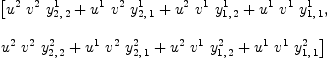 
\label{eq21}\begin{array}{@{}l}
\displaystyle
\left[{{{u^{2}}\ {v^{2}}\ {y_{2, \: 2}^{1}}}+{{u^{1}}\ {v^{2}}\ {y_{2, \: 1}^{1}}}+{{u^{2}}\ {v^{1}}\ {y_{1, \: 2}^{1}}}+{{u^{1}}\ {v^{1}}\ {y_{1, \: 1}^{1}}}}, \: \right.
\
\
\displaystyle
\left.{{{u^{2}}\ {v^{2}}\ {y_{2, \: 2}^{2}}}+{{u^{1}}\ {v^{2}}\ {y_{2, \: 1}^{2}}}+{{u^{2}}\ {v^{1}}\ {y_{1, \: 2}^{2}}}+{{u^{1}}\ {v^{1}}\ {y_{1, \: 1}^{2}}}}\right] 
