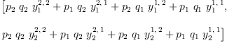 
\label{eq6}\begin{array}{@{}l}
\displaystyle
\left[{{{p_{2}}\ {q_{2}}\ {y_{1}^{2, \: 2}}}+{{p_{1}}\ {q_{2}}\ {y_{1}^{2, \: 1}}}+{{p_{2}}\ {q_{1}}\ {y_{1}^{1, \: 2}}}+{{p_{1}}\ {q_{1}}\ {y_{1}^{1, \: 1}}}}, \: \right.
\
\
\displaystyle
\left.{{{p_{2}}\ {q_{2}}\ {y_{2}^{2, \: 2}}}+{{p_{1}}\ {q_{2}}\ {y_{2}^{2, \: 1}}}+{{p_{2}}\ {q_{1}}\ {y_{2}^{1, \: 2}}}+{{p_{1}}\ {q_{1}}\ {y_{2}^{1, \: 1}}}}\right] 
