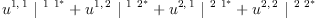 
\label{eq25}{{u^{1, \: 1}}\ {|^{\  1 \ {1_{\ }^{<em>}}}}}+{{u^{1, \: 2}}\ {|^{\  1 \ {2_{\ }^{</em>}}}}}+{{u^{2, \: 1}}\ {|^{\  2 \ {1_{\ }^{<em>}}}}}+{{u^{2, \: 2}}\ {|^{\  2 \ {2_{\ }^{</em>}}}}}