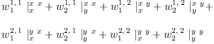 
\label{eq46}\begin{array}{@{}l}
\displaystyle
{{w_{1}^{1, \: 1}}\ {|_{x}^{x \  x}}}+{{w_{2}^{1, \: 1}}\ {|_{y}^{x \  x}}}+{{w_{1}^{1, \: 2}}\ {|_{x}^{x \  y}}}+{{w_{2}^{1, \: 2}}\ {|_{y}^{x \  y}}}+ 
\
\
\displaystyle
{{w_{1}^{2, \: 1}}\ {|_{x}^{y \  x}}}+{{w_{2}^{2, \: 1}}\ {|_{y}^{y \  x}}}+{{w_{1}^{2, \: 2}}\ {|_{x}^{y \  y}}}+{{w_{2}^{2, \: 2}}\ {|_{y}^{y \  y}}}

