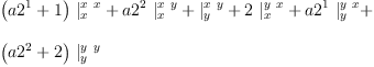 
\label{eq96}\begin{array}{@{}l}
\displaystyle
{{\left({a 2^{1}}+ 1 \right)}\ {|_{x}^{x \  x}}}+{{a 2^{2}}\ {|_{x}^{x \  y}}}+{|_{y}^{x \  y}}+{2 \ {|_{x}^{y \  x}}}+{{a 2^{1}}\ {|_{y}^{y \  x}}}+ 
\
\
\displaystyle
{{\left({a 2^{2}}+ 2 \right)}\ {|_{y}^{y \  y}}}
