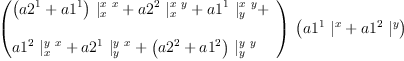 
\label{eq55}\begin{array}{@{}l}
\displaystyle
\ {\left({
\begin{array}{@{}l}
\displaystyle
{{\left({a 2^{1}}+{a 1^{1}}\right)}\ {|_{x}^{x \  x}}}+{{a 2^{2}}\ {|_{x}^{x \  y}}}+{{a 1^{1}}\ {|_{y}^{x \  y}}}+ 
\
\
\displaystyle
{{a 1^{2}}\ {|_{x}^{y \  x}}}+{{a 2^{1}}\ {|_{y}^{y \  x}}}+{{\left({a 2^{2}}+{a 1^{2}}\right)}\ {|_{y}^{y \  y}}}

