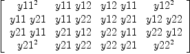 
\label{eq7}\left[ 
\begin{array}{cccc}
{{y 11}^{2}}&{y 11 \  y 12}&{y 12 \  y 11}&{{y 12}^{2}}
\
{y 11 \  y 21}&{y 11 \  y 22}&{y 12 \  y 21}&{y 12 \  y 22}
\
{y 21 \  y 11}&{y 21 \  y 12}&{y 22 \  y 11}&{y 22 \  y 12}
\
{{y 21}^{2}}&{y 21 \  y 22}&{y 22 \  y 21}&{{y 22}^{2}}
