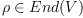 \rho \in End(V)