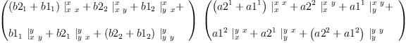 
\label{eq82}\begin{array}{@{}l}
\displaystyle
\ {\left({
\begin{array}{@{}l}
\displaystyle
{{\left({b 2_{1}}+{b 1_{1}}\right)}\ {|_{x \  x}^{x}}}+{{b 2_{2}}\ {|_{x \  y}^{x}}}+{{b 1_{2}}\ {|_{y \  x}^{x}}}+ 
\
\
\displaystyle
{{b 1_{1}}\ {|_{x \  y}^{y}}}+{{b 2_{1}}\ {|_{y \  x}^{y}}}+{{\left({b 2_{2}}+{b 1_{2}}\right)}\ {|_{y \  y}^{y}}}
