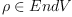 ρ \in End V
