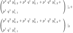 
\label{eq11}\begin{array}{@{}l}
\displaystyle
{{\left({
\begin{array}{@{}l}
\displaystyle
{{p^{2}}\ {q^{2}}\ {y_{2, \: 2}^{1}}}+{{p^{2}}\ {q^{1}}\ {y_{2, \: 1}^{1}}}+{{p^{1}}\ {q^{2}}\ {y_{1, \: 2}^{1}}}+ 
\
\
\displaystyle
{{p^{1}}\ {q^{1}}\ {y_{1, \: 1}^{1}}}
