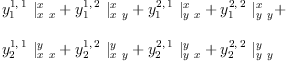 
\label{eq110}\begin{array}{@{}l}
\displaystyle
{{y_{1}^{1, \: 1}}\ {|_{x \  x}^{x}}}+{{y_{1}^{1, \: 2}}\ {|_{x \  y}^{x}}}+{{y_{1}^{2, \: 1}}\ {|_{y \  x}^{x}}}+{{y_{1}^{2, \: 2}}\ {|_{y \  y}^{x}}}+ 
\
\
\displaystyle
{{y_{2}^{1, \: 1}}\ {|_{x \  x}^{y}}}+{{y_{2}^{1, \: 2}}\ {|_{x \  y}^{y}}}+{{y_{2}^{2, \: 1}}\ {|_{y \  x}^{y}}}+{{y_{2}^{2, \: 2}}\ {|_{y \  y}^{y}}}
