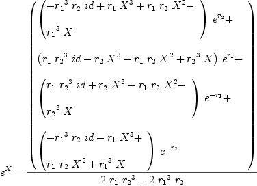 
\label{eq45}\begin{array}{@{}l}
\displaystyle
{{e}^{X}}={{\left(
\begin{array}{@{}l}
\displaystyle
{{\left({
\begin{array}{@{}l}
\displaystyle
-{{{r_{1}}^{3}}\ {r_{2}}\  id}+{{r_{1}}\ {{X}^{3}}}+{{r_{1}}\ {r_{2}}\ {{X}^{2}}}- 
\
\
\displaystyle
{{{r_{1}}^{3}}\  X}
