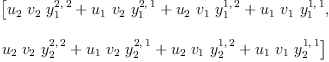 
\label{eq6}\begin{array}{@{}l}
\displaystyle
\left[{{{u_{2}}\ {v_{2}}\ {y_{1}^{2, \: 2}}}+{{u_{1}}\ {v_{2}}\ {y_{1}^{2, \: 1}}}+{{u_{2}}\ {v_{1}}\ {y_{1}^{1, \: 2}}}+{{u_{1}}\ {v_{1}}\ {y_{1}^{1, \: 1}}}}, \: \right.
\
\
\displaystyle
\left.{{{u_{2}}\ {v_{2}}\ {y_{2}^{2, \: 2}}}+{{u_{1}}\ {v_{2}}\ {y_{2}^{2, \: 1}}}+{{u_{2}}\ {v_{1}}\ {y_{2}^{1, \: 2}}}+{{u_{1}}\ {v_{1}}\ {y_{2}^{1, \: 1}}}}\right] 
