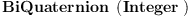 
\label{eq1}\hbox{\axiomType{BiQuaternion}\ } \left({\hbox{\axiomType{Integer}\ }}\right)