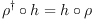 
\rho^\dagger \circ h = h \circ \rho
